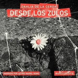 Desde-los-zulos
