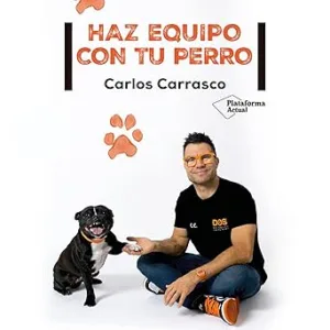 Haz-equipo-con-tu-perro