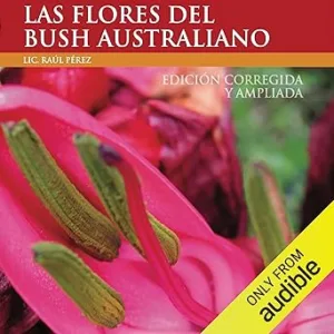 Las-flores-del-Bush-Australiano