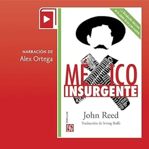Mexico-Insurgente