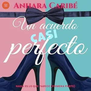Un-acuerdo-casi-perfecto-Nada-es-lo-que-parece-libro-1